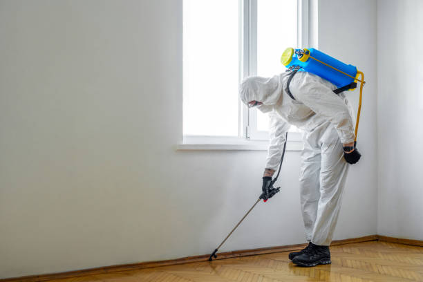 Best Mosquito Control Services  in Leisure City, FL