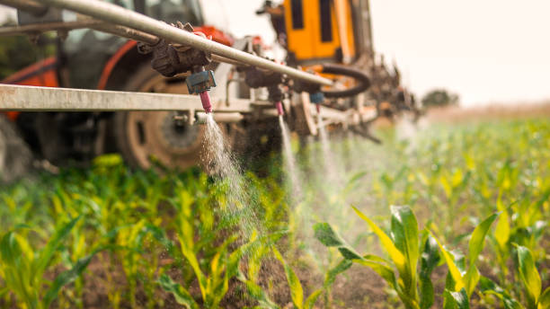 Best Mosquito Control Services  in Leisure City, FL