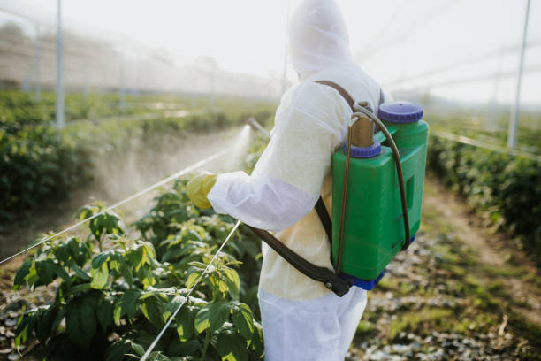 Professional Pest Control in Leisure City, FL